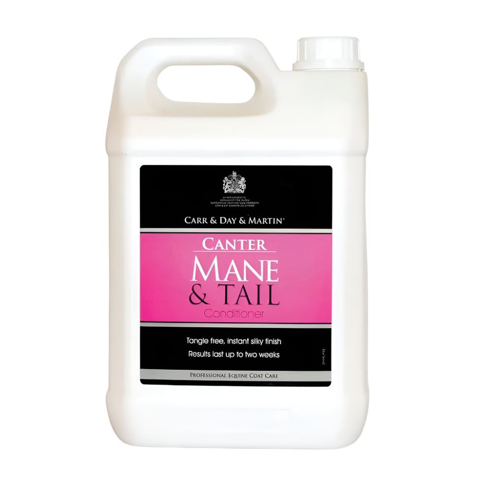 CANTER MANE & TAIL | CDM | UAE | AL ZARRAB