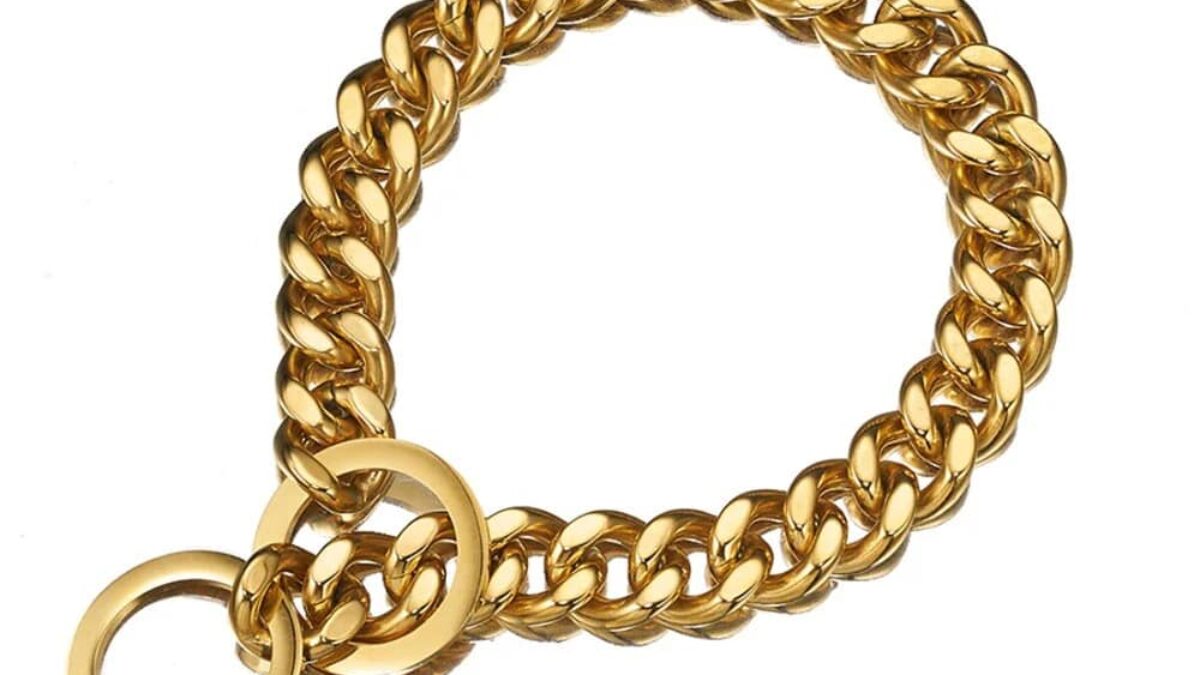 Golden Alloy Show Choke Chain for Dogs