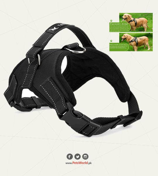 Dog Harness / Chest Strap Large