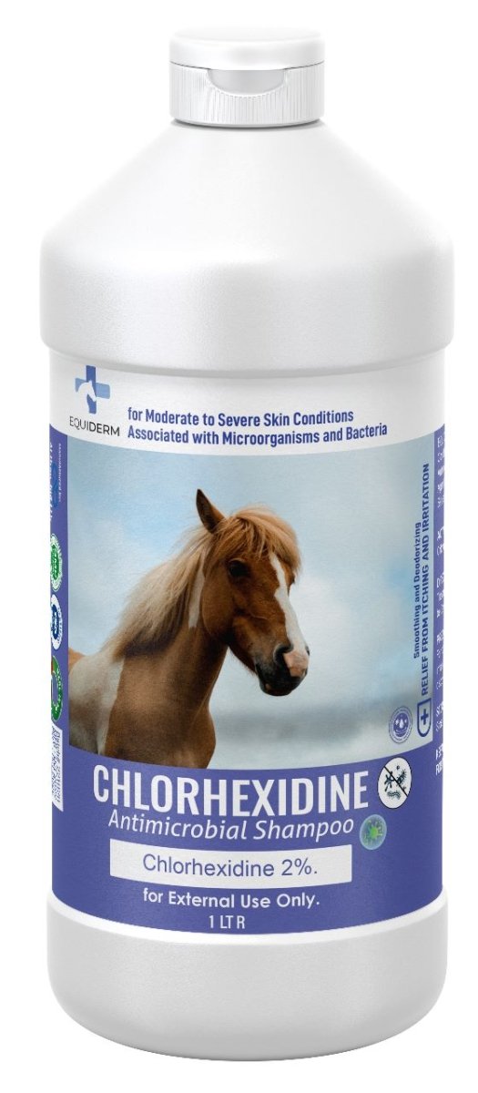Chlorhexidine Antimicrobial Shampoo 1Liter
