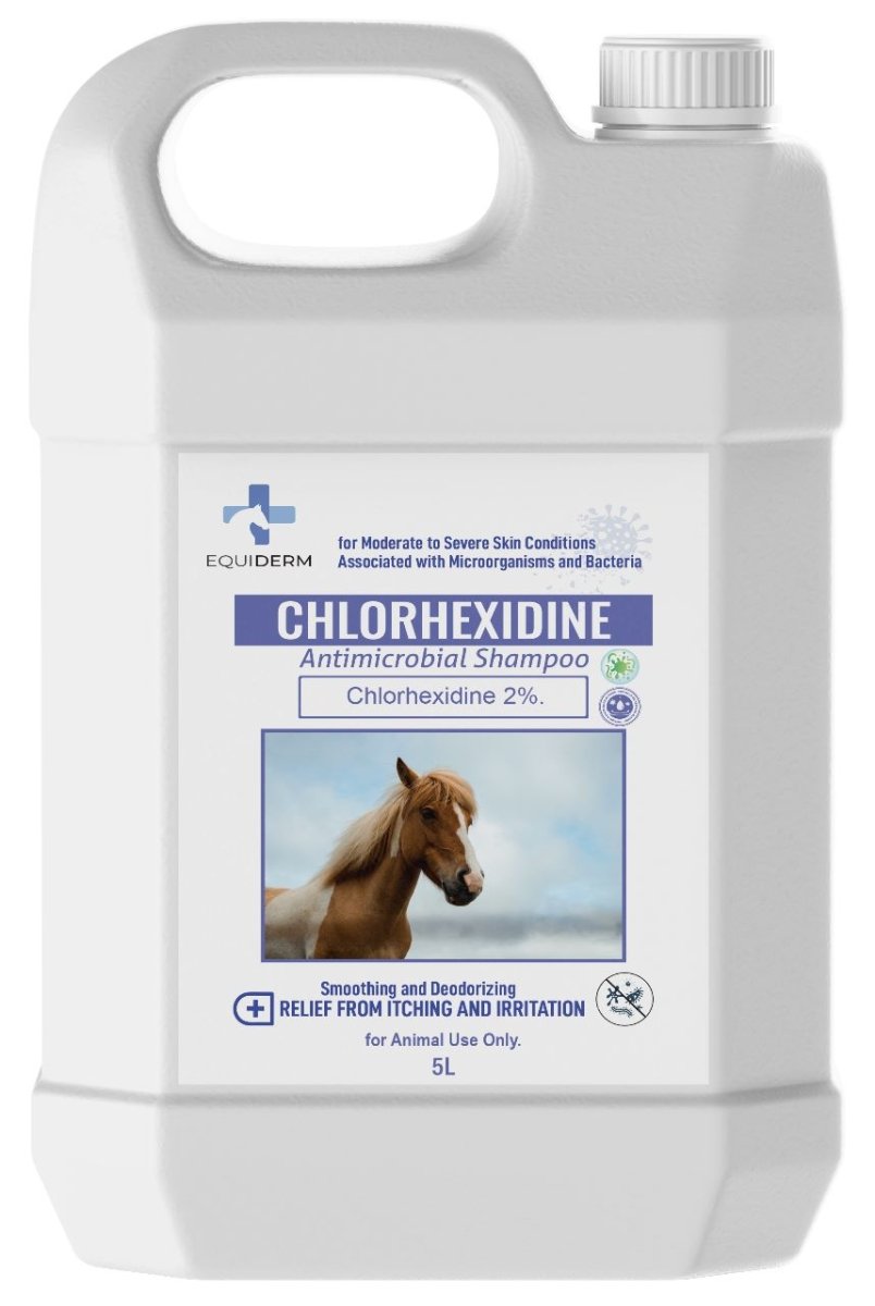 Chlorhexidine Antimicrobial Shampoo 5Liter Chlorhexidine shampoo for horses