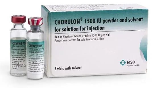 Chorulon 1500IU for animals 1 Vial