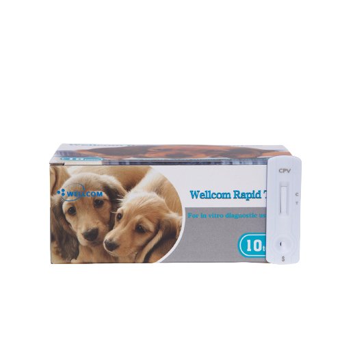 CIV-Ag 1 test - Rapid test for kennel cough