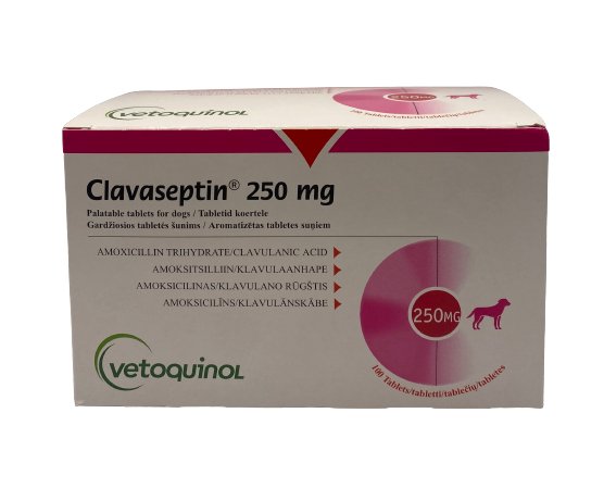 Clavaseptin Amoxicillin 250mg 1 Box