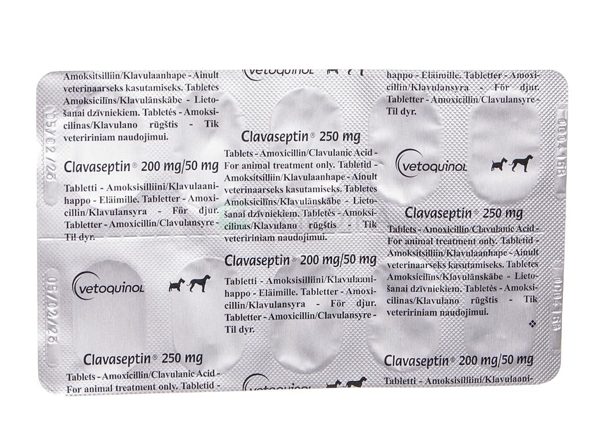 Clavaseptin Amoxicillin 250mg 10 Tablets