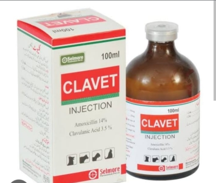 Clavet 100 ml injection buy online