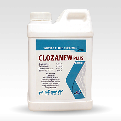 CLOZANEW PLUS