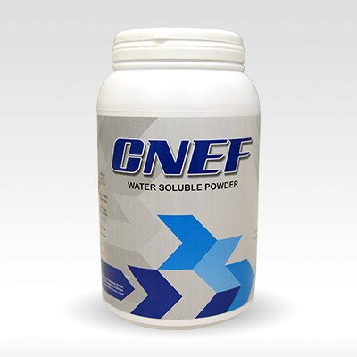 CNEF