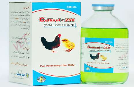Collisul-250 Solution.