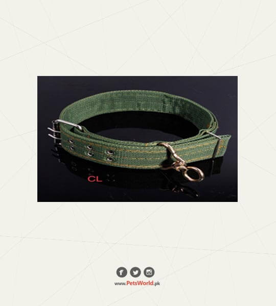 Dog Collar