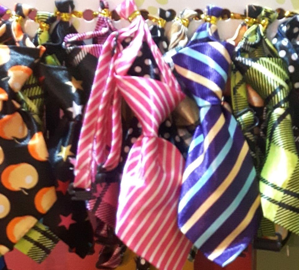 Tie Collar for Pets