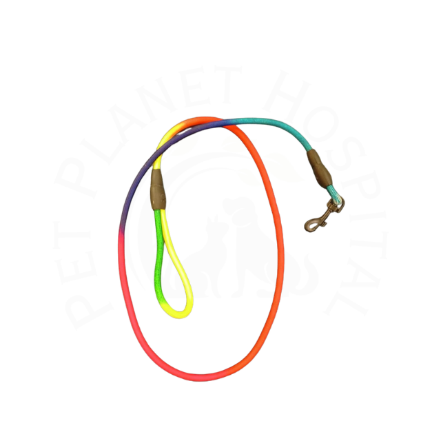 Multi Colour Leash for Cats and Dogs – Strong & Stylish
