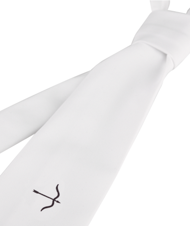Laguso Competition Tie