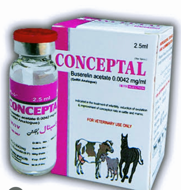 Conceptal 5 ml buy online in pk