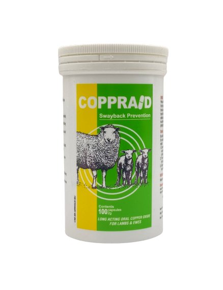 COPPERRODS 2g