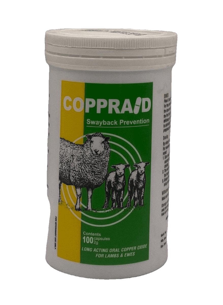 Coppraid 2 g 100 copper capsules