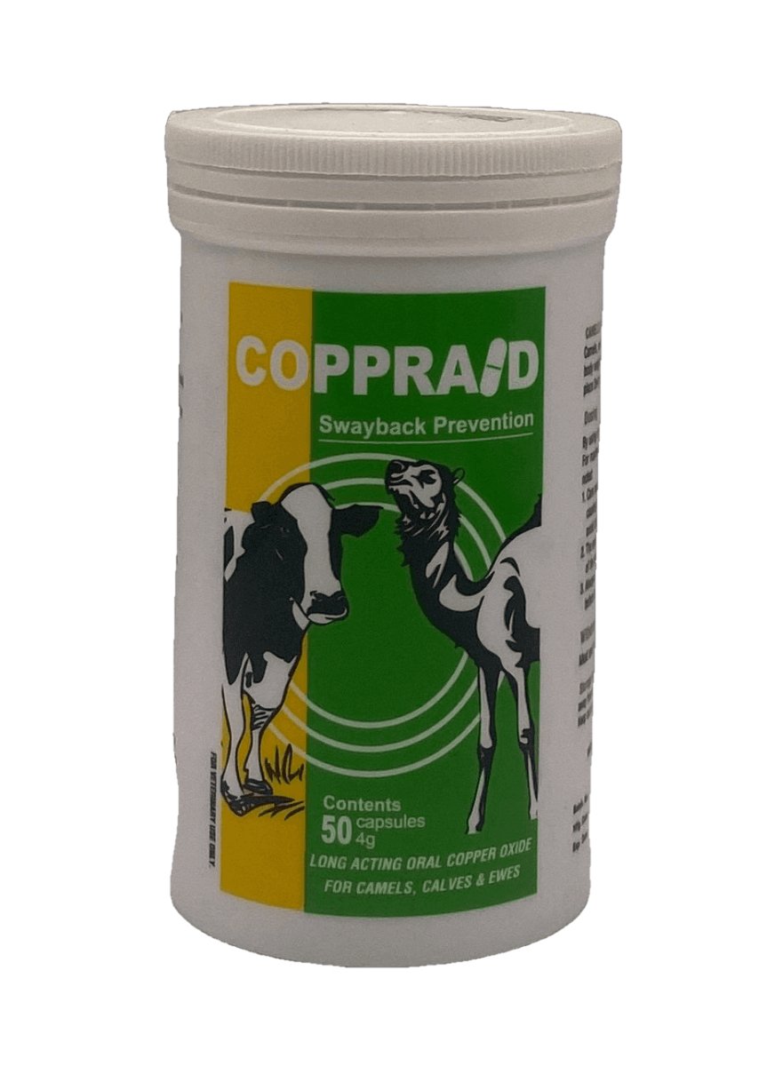 COPPRAID 4 g 50 copper capsules