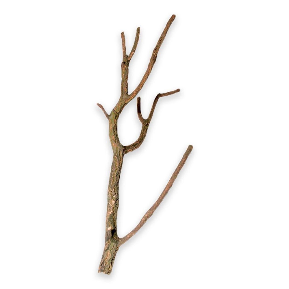 Hobby Cork Branch