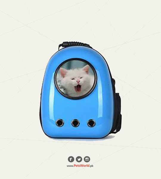 Pet Travel Bag