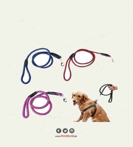 NYLON DOG LEASH