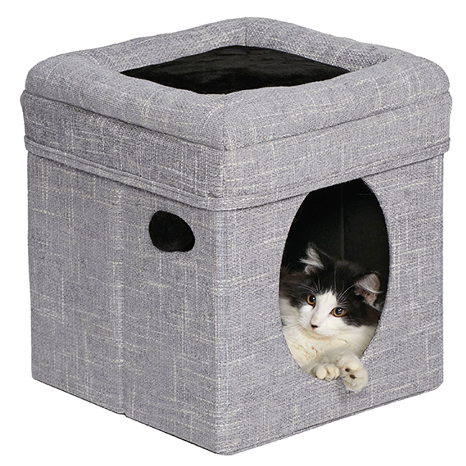 Curious Cat Cube