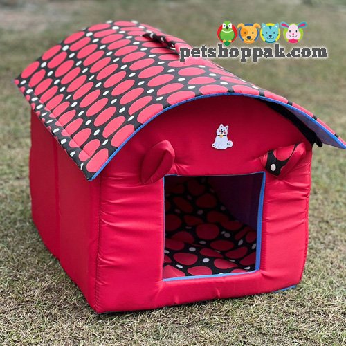 Cartoon Hut House