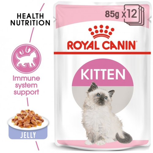 FELINE HEALTH NUTRITION KITTEN JELLY (WET FOOD - POUCHES)85GX1