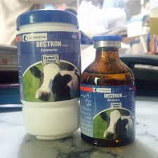 Dectron Injection 50 ml
