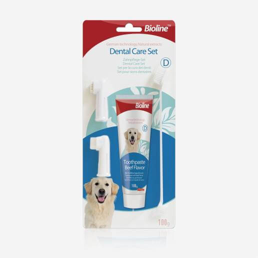Dental Care Set