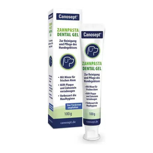 Canosept Dental Care Toothpaste 100g