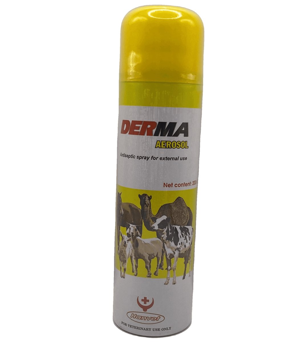 DERMA AEROSOL Spray 200ml