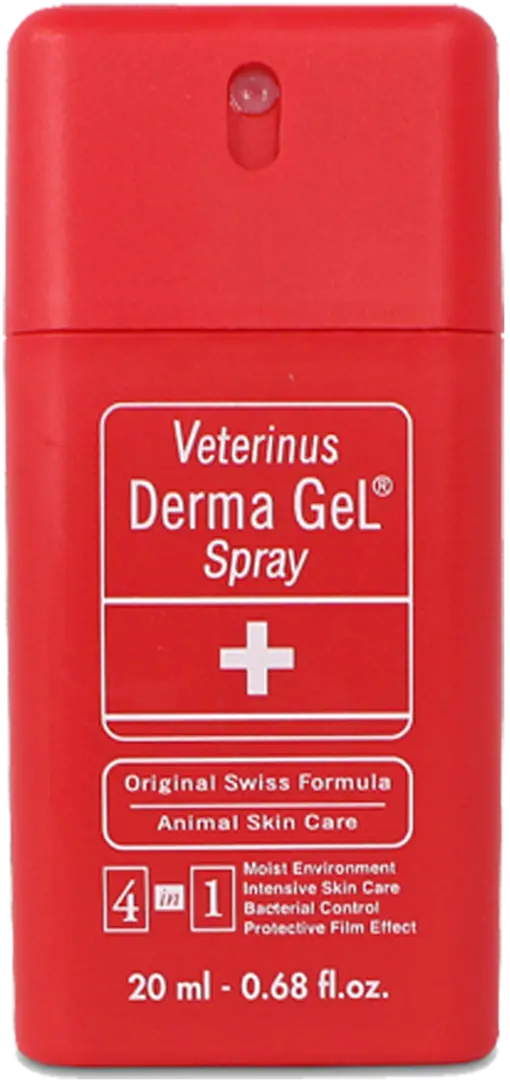 DERMA GEL SPRAY