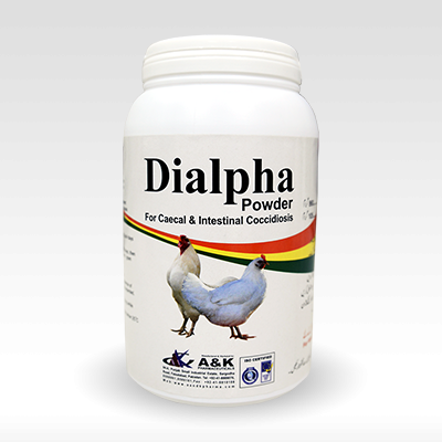 DIALPHA