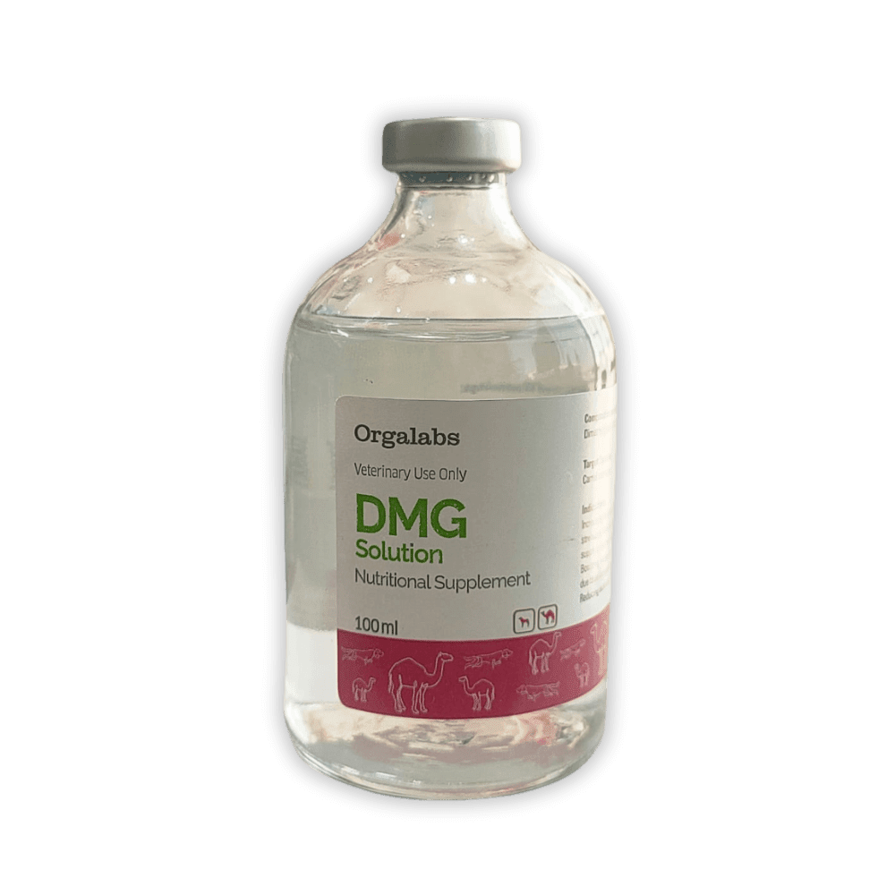 DMG Solution