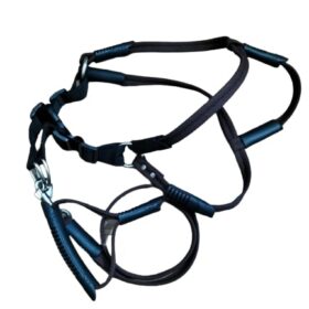 Dog Harness with Leash Large