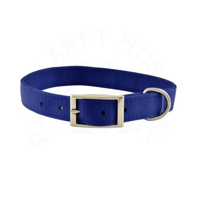 Dog Soft Collar with Buckle – Adjustable Sizes
