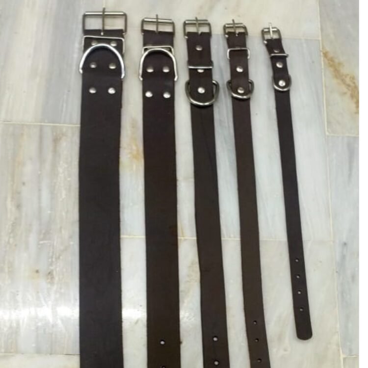 Dog Leather Collar