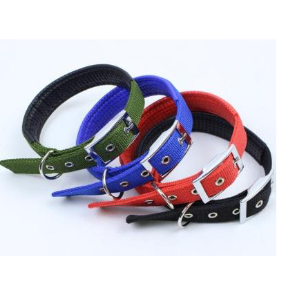 Dog Soft Collar with Buckle