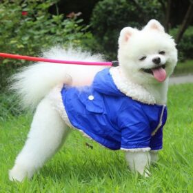 Dogs and Cats Jackets for Winter Windproof