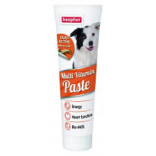 Beaphar - Duo Active Paste Multivitamin Dog 100 G
