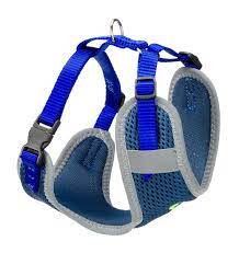 Nikita - P Harness Blue