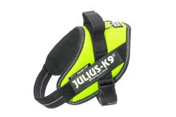 IDC Powerharness - Neon Green Size Mini