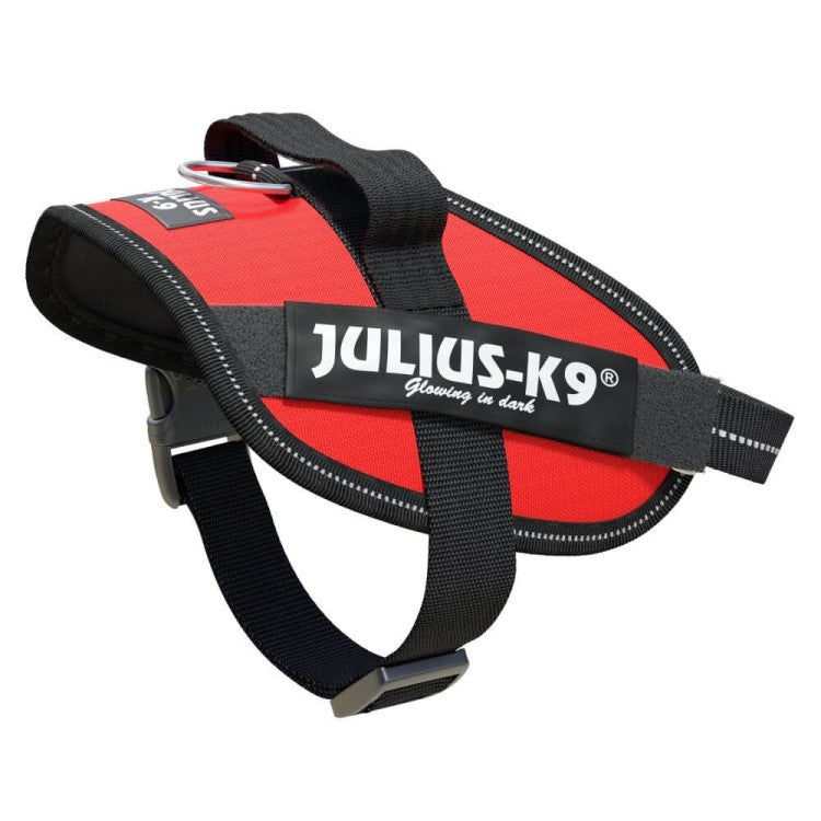 IDC Powerharness - Red Size Mini-Mini