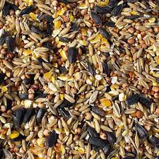 Big bird seed mix
