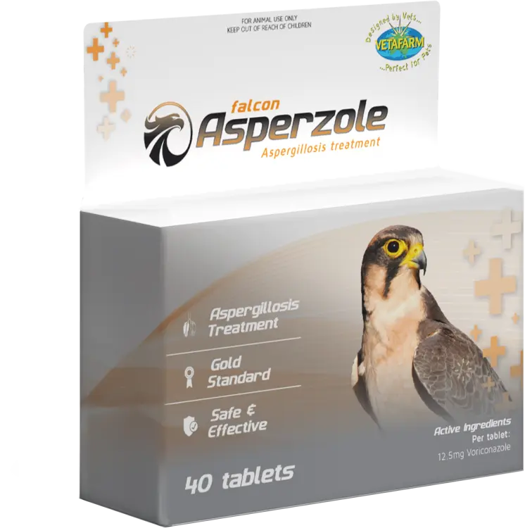 Falcon Asperzole 40 Tabs