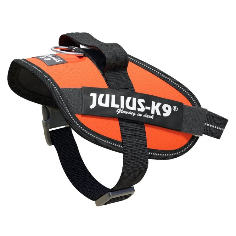 IDC High Visibility Powerharness - UV Orange Size Mini-Mini