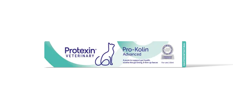 Pro-kolin Advanced for Cats 15 ml