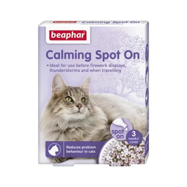 CALMING SPOT ON CAT