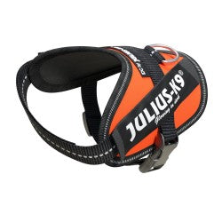 IDC High Visibility Powerharness - UV Orange Size Baby 2