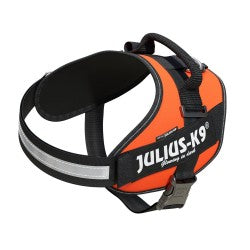 IDC High Visibility Powerharness - UV Orange Size 2